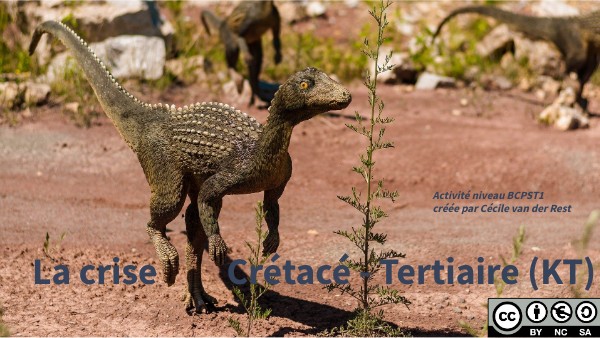 crise Crétacé Tertiaire