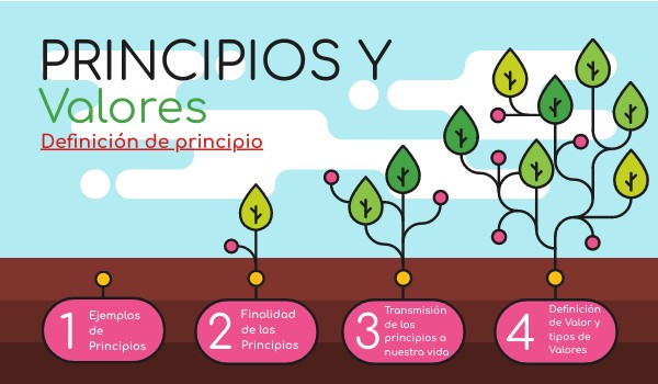 PRINCIPIOS Y VALORES