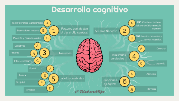 Desarrollo cognitivo