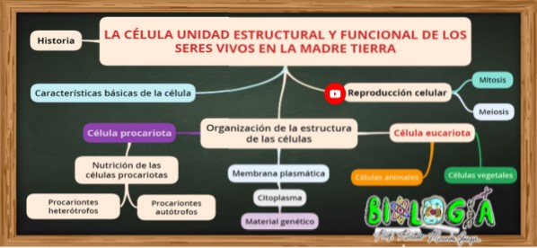 LA CÉLULA UNIDAD ESTRUCTURAL Y FUNCIONAL DE LOS SERES VIVOS