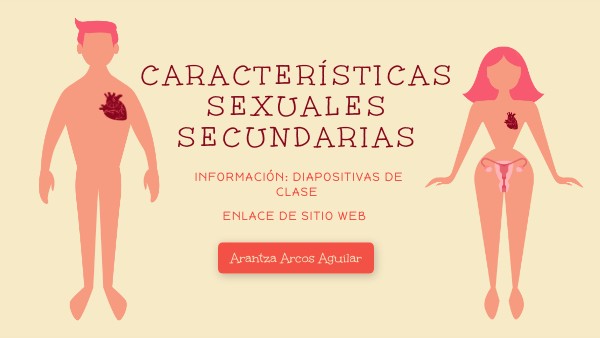 Qué Son Las Características Sexuales Secundarias