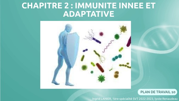 Immunité innée et adaptative