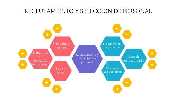 Ensayo De Reclutamiento Y Seleccion De Personal