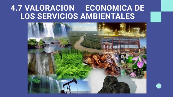 VALORACION ECONOMICA DE LOS SERV AMBIENTALES