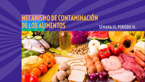 Mecanismos De Contaminacion De Los Alimentos