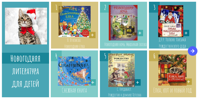 Однажды В Новогоднюю Ночь Книга