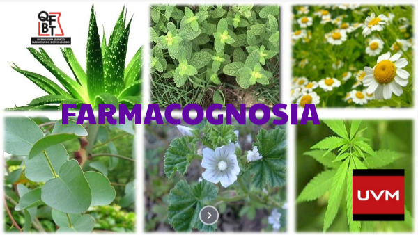 Libro De Farmacognosia De Claudia Kuklinski Pdf view.genial.ly