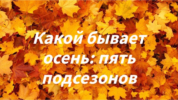 Что бывает осенним. Что бывает осенним