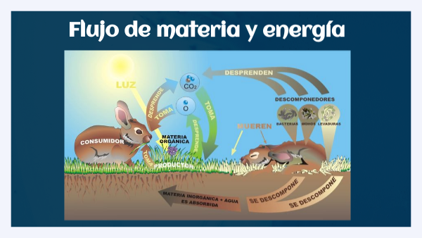 Flujo de materia y energia