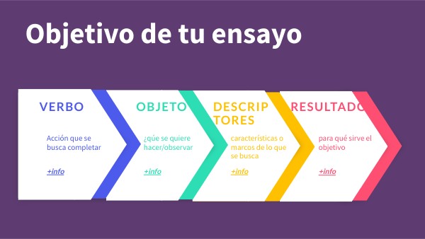 Objetivo del ensayo
