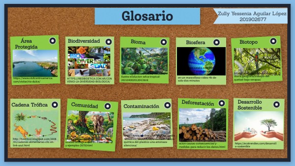 Glosario De Ecologia De 250 Palabras