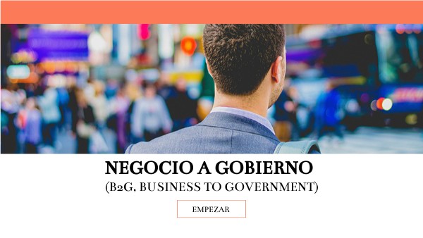 Negocio a gobierno (B2G, Business to Government)