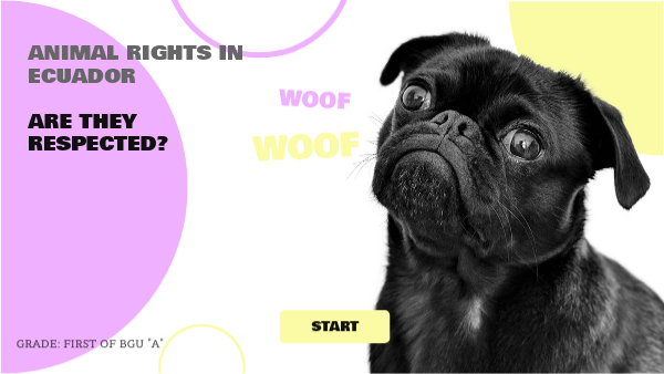 Animal Rights animal-rights