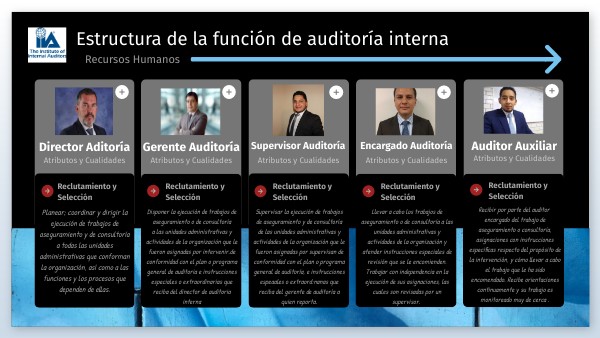 Estructura de las funciones de auditoría interna