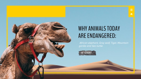 Endangered Animals