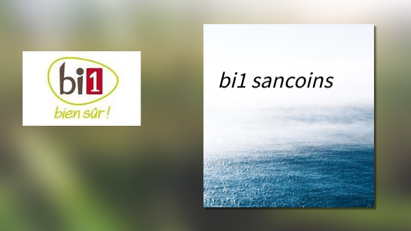 facteur d'ambiance et signalétique