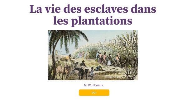La vie des esclaves dans les plantations