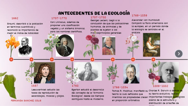 Antecedentes de la ecología
