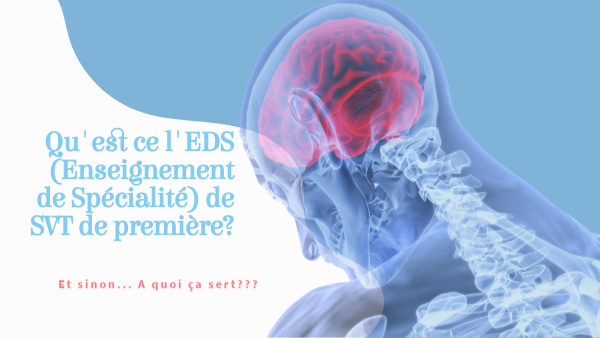 Specialite Svt Premiere By Celine Sospedra On Genially