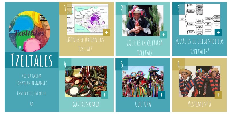 Infografia Tzeltales