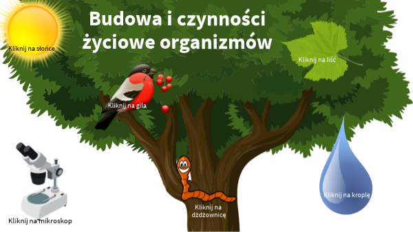 Czynności Zyciowe Organizmów Sprawdzian Klasa 6 Budowa i czynności życiowe organizmów - powtórzenie wiadomości