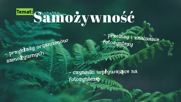 Samożywność