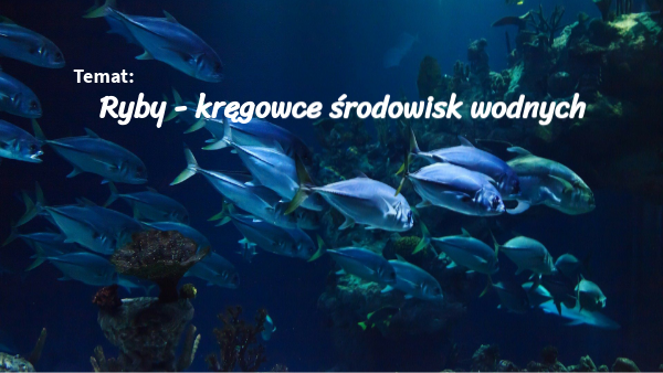 Ryby Kręgowce środowisk Wodnych Ryby - kręgowce środowisk wodnych