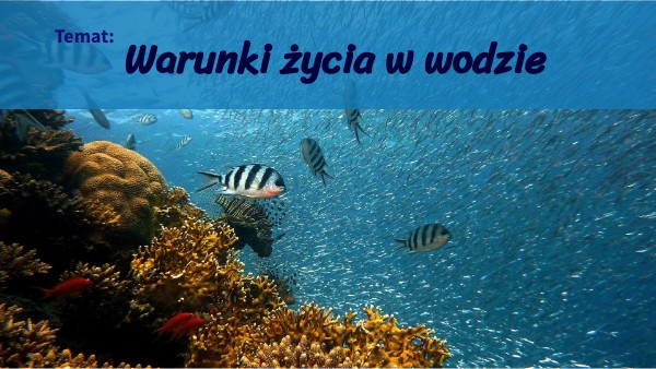 Warunki życia w wodzie