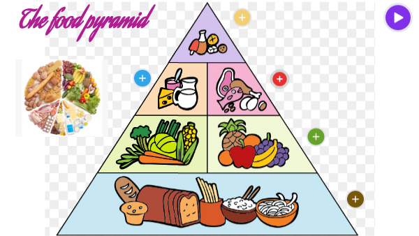 FOOD PYRAMID