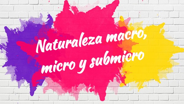 Naturaleza macro, micro y submicro