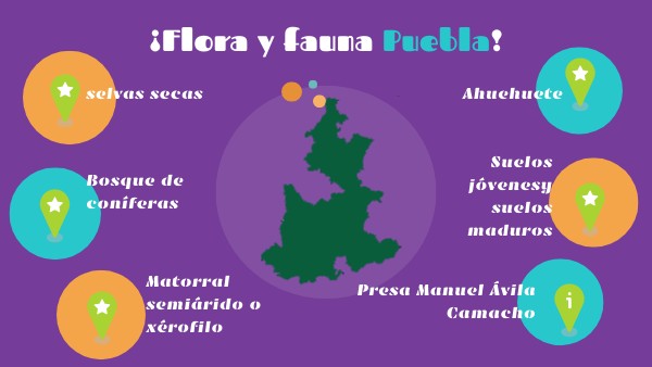 Flora Y Fauna De Puebla Mapa