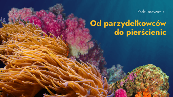 Od parzydełkowców do pierścienic
