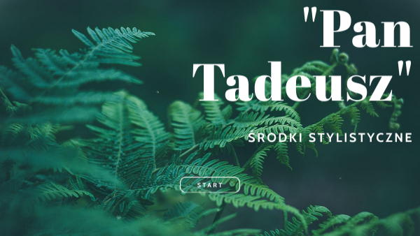 Pan Tadeusz - środki stylistyczne