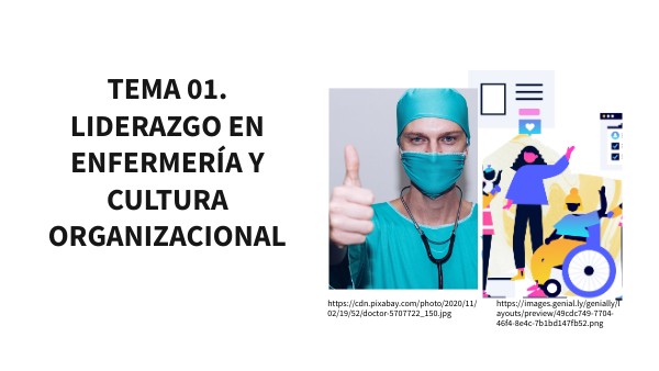 LIDERAZGO EN ENFERMERÍA