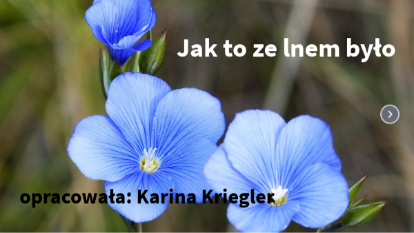 jak to ze lnem było