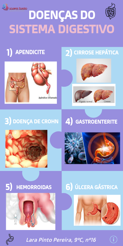Sistema Digestivo: Doenças Mais Comuns E Prevenção – OMDU