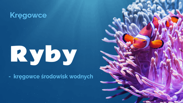 Ryby Kręgowce środowisk Wodnych RYBY - KRĘGOWCE ŚRODOWISK WODNYCH