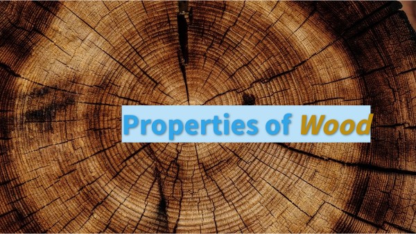 Dlaczego Drewno Jest Cennym Surowcem Properties of wood