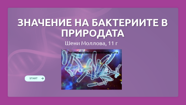 Значение на бактериите в природата