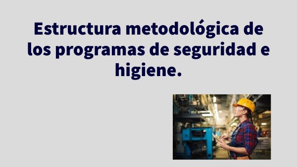 Estructura metodológica de los programas de seguridad e higiene.