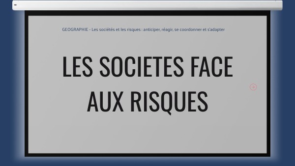 Les sociétés face aux risques