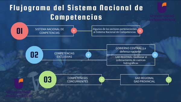 Flujograma del Sistema Nacional de Competencias