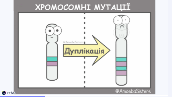 Хромосомні мутації