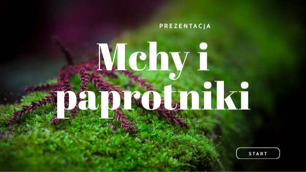 Mchy i paprotniki