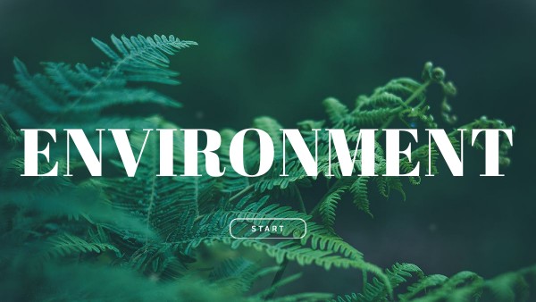environment