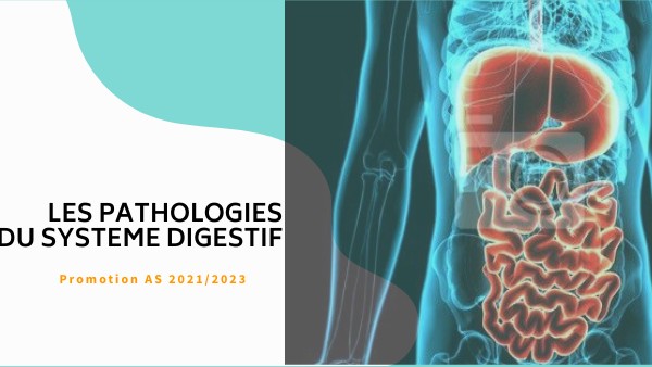 LES PATHOLOGIES DU SYSTEME DIGESTIF