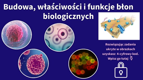 Budowa, właściwości i funkcje błon biologicznych