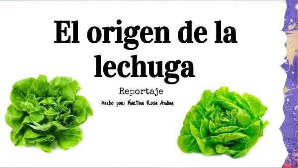 Origen de la lechuga