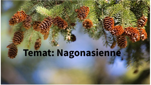 Nagonasienne