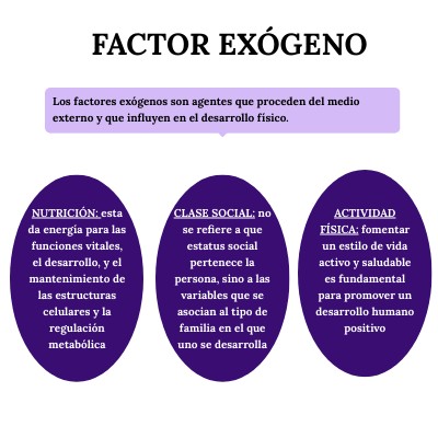 Que Es Un Factor Exógeno – MODELO DE ROMER (1986) – KGZO